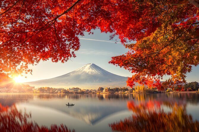 Mount Fuji and Hakone Private day trip from Tokyo - Stop 4: Owakudani Valley for the up-close volcanic drama