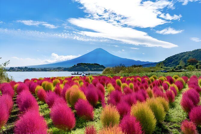 Mount Fuji and Hakone Private day trip from Tokyo - Stop 5: Hakone Ropeway for aerial views over Lake Ashi