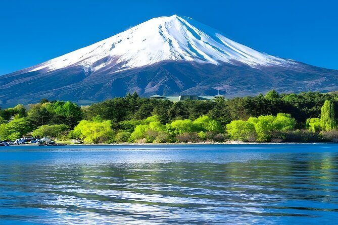 Mount Fuji and Hakone Private day trip from Tokyo - Stop 6 and 7: Hakone Shrine and Heiwa no Torii on Lake Ashi