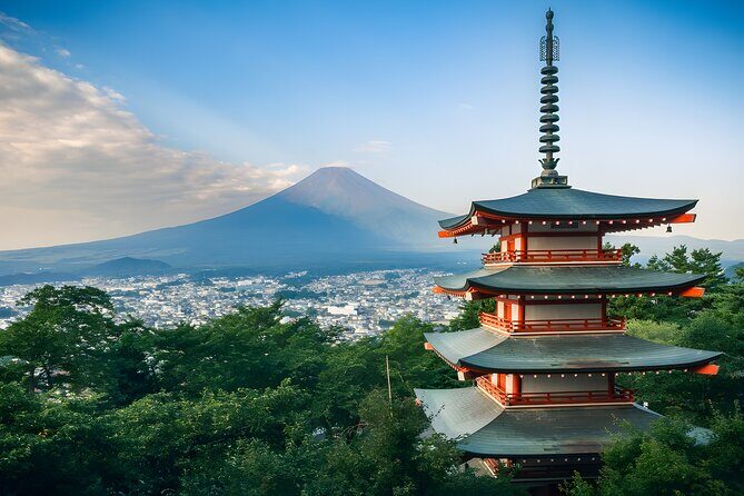Mount Fuji and Hakone Private day trip from Tokyo - Price and value: what you pay for (and what you still handle)