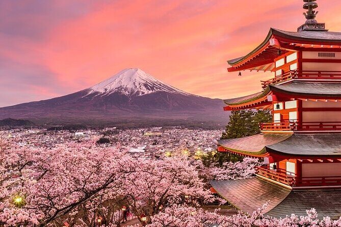 Mount Fuji and Hakone Private Tour by Car with Pickup from Tokyo - Hakone Ropeway and Owakudani: where the volcanic smoke steals the show