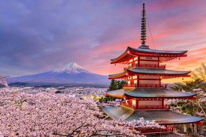 Mount Fuji and Hakone Private Tour by Car with Pickup from Tokyo - Gora Park’s French-style gardens: calm, historic, and timed well