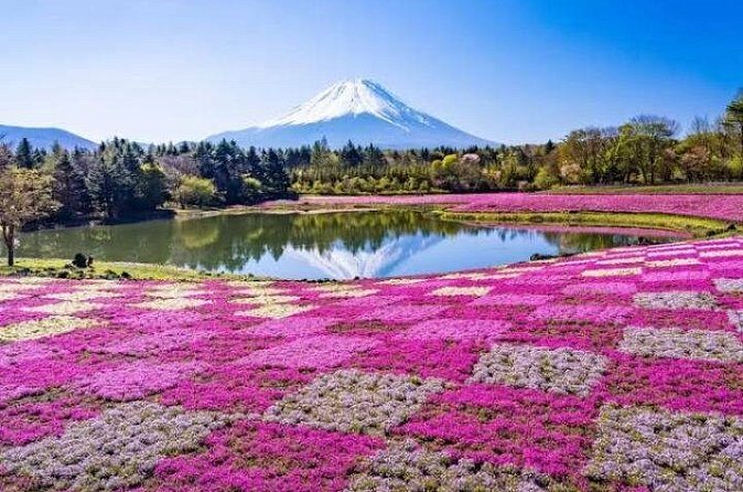 Mount Fuji and Hakone Private Tour by Car with Pickup from Tokyo - Optional Hakone Shrine and Gotemba outlets: pick your vibe
