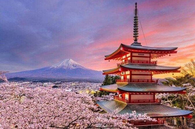 Mount Fuji and Hakone Private Tour by Car with Pickup from Tokyo - Price and logistics: is $389 per group actually good value?