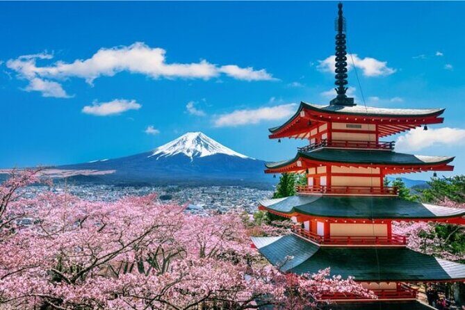 Mount Fuji and Hakone Private Tour by Car with Pickup from Tokyo - Planning your day for Mt. Fuji: timing and weather expectations