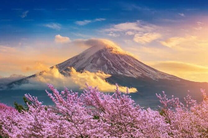 Mount Fuji and Hakone Private Tour with Pickup from Tokyo - Weather is the real itinerary controller