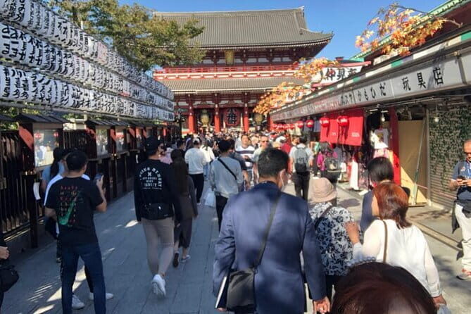 Mount Fuji and Hakone Private Tour with Pickup from Tokyo - How to personalize the day without losing the flow