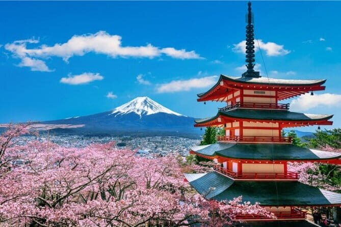 Mount Fuji and Hakone Private Tour with Pickup from Tokyo - Oshino Hakkai and Oishi Park: where the water stays crystal-clear