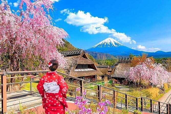 Mount Fuji Day Tour:Lake Kawaguchi, HealingVillage,Oshino Hakkai - Key things you’re really paying for