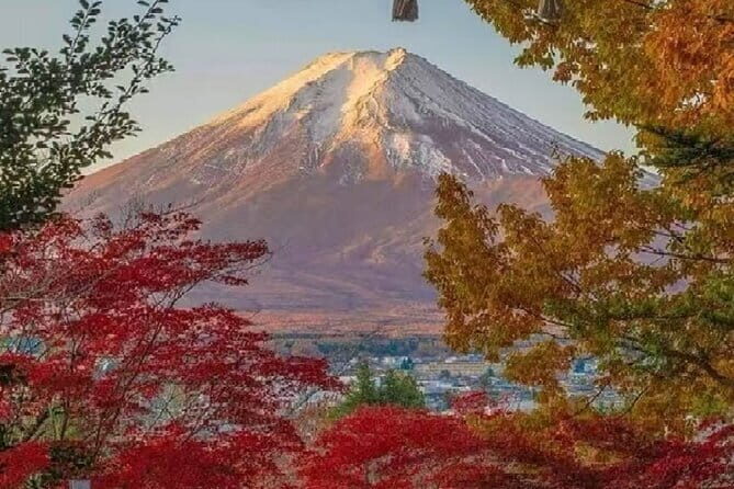 Mount Fuji Day Tour:Lake Kawaguchi, HealingVillage,Oshino Hakkai - Key points before you go