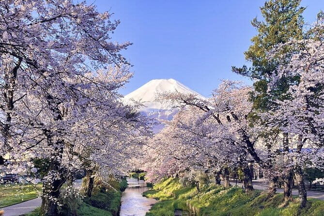 Mount Fuji Day Tour:Lake Kawaguchi, HealingVillage,Oshino Hakkai - Oishi Park and Lake Kawaguchi color seasons
