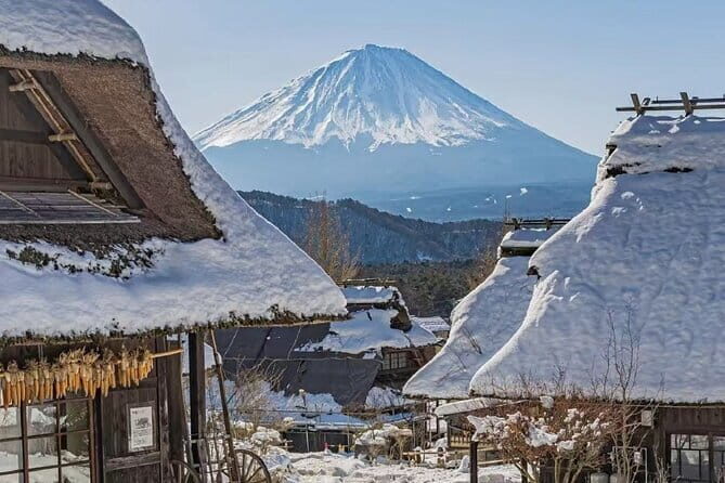 Mount Fuji Day Tour:Lake Kawaguchi, HealingVillage,Oshino Hakkai - The 10-hour Fuji day plan from Tokyo