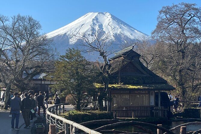Mount Fuji Full Day Customize Private Tour with English Guide - Private door-to-door logistics from Tokyo