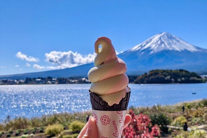 Mount Fuji Full Day Customize Private Tour with English Guide - Shrine views: Kitaguchi Hongu Fuji Sengen Jinja to Chureito Pagoda