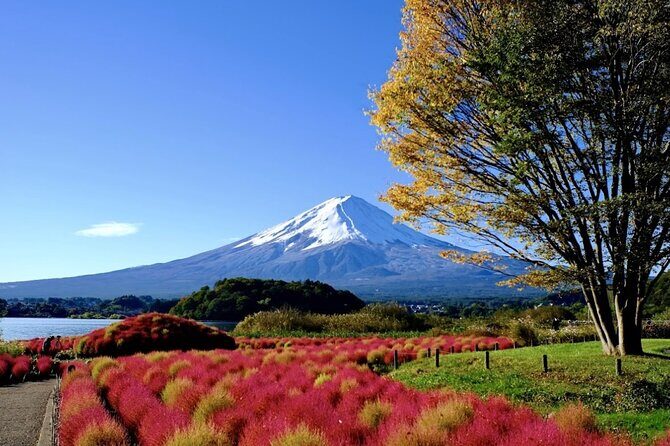 Mount Fuji Full Day Customized Private Tour with English Guide - Hotel Pickup, Air-Conditioned Comfort, and a Real Chauffeur Day
