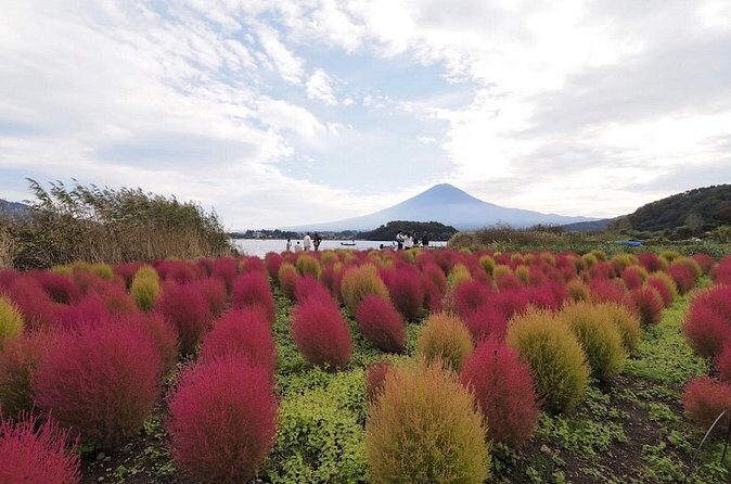 Mount Fuji Full Day Customized Private Tour with English Guide - Oshino Hakkai: Eight Ponds, Volcanic Roots, and Quiet Water-Level Magic