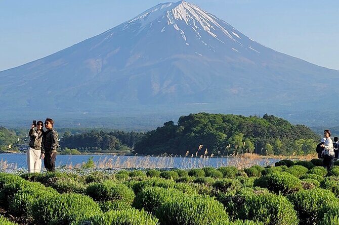 Mount Fuji Full Day Customized Private Tour with English Guide - Arakurayama Sengen Park and Chureito Pagoda: Stairs, Shrine History, and a Strong View Reward