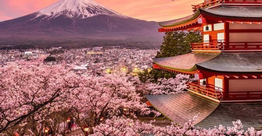 Mount Fuji Full-Day Private Tour from Tokyo (Customizable) - A private Fuji and Hakone day: how the route feels