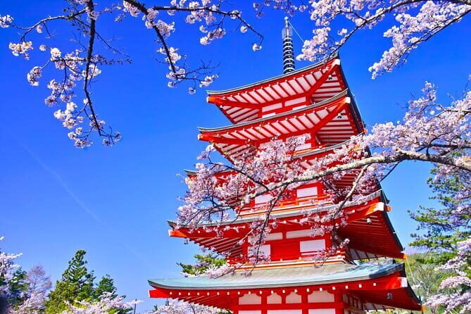 Mount Fuji Full Day Sightseeing Tour from Tokyo - Price and What You Truly Get for $67