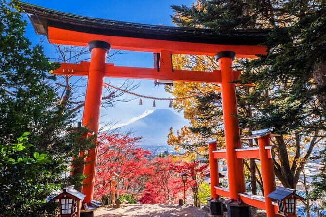 Mount Fuji Full Day Sightseeing Tour from Tokyo - Pickup, bus comfort, and the 10-hour reality check