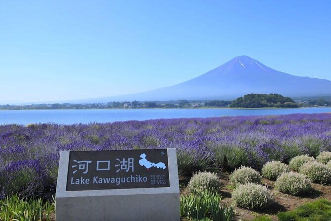 Mount Fuji Full Day Tour form Tokyo Lake Kawaguchi & Yamanaka - Why this Mount Fuji day trip works so well from Tokyo