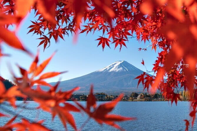 Mount Fuji Full Day Tour form Tokyo Lake Kawaguchi & Yamanaka - Arakura Fuji Sengen Shrine: a short prayer stop with real age behind it