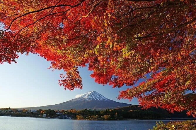 Mount Fuji Full Day Tour form Tokyo Lake Kawaguchi & Yamanaka - Retro streets and the blue Lawson photo corner