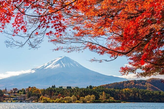 Mount Fuji Full Day Tour form Tokyo Lake Kawaguchi & Yamanaka - Lake Yamanaka: Swan Lake vibes to start the day