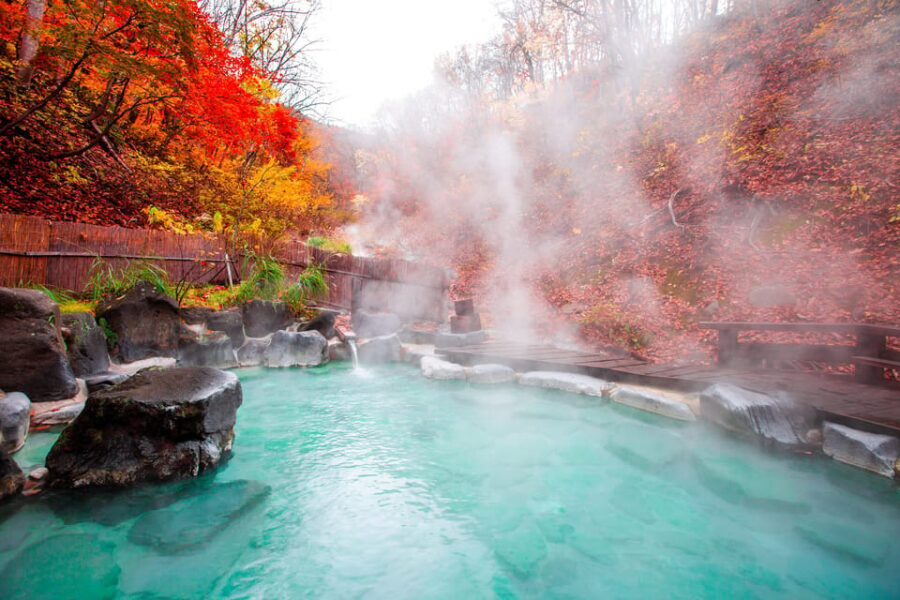 Mount Fuji - Hakone & Onsen Full Day Private Tour - A private, English-led Hakone loop from Tokyo in 10 hours