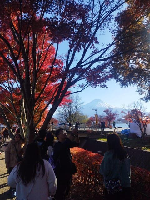 Mount Fuji - Hakone & Onsen Full Day Private Tour - Gotemba Premium Outlets: a practical shopping slot near the finish