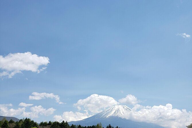 Mount Fuji (Mt. fuji) private tour by car with pickup from Tokyo - Oshino Hakkai: eight ponds, clear water, and a close Fuji feel