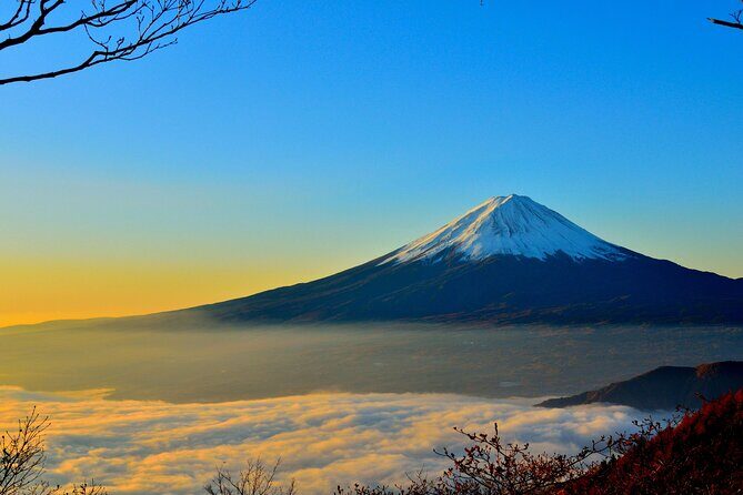Mount Fuji (Mt. fuji) private tour by car with pickup from Tokyo - Chureito Pagoda at Arakura Sengen Shrine: Fuji framed by steps