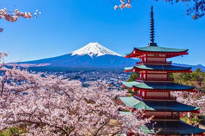 Mount Fuji Private Custom Tour with Local English Speaking Guide - Key highlights you should know before you go