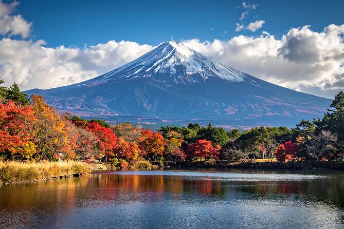 Mount Fuji Private Custom Tour with Local English Speaking Guide - Private Mt. Fuji: what a truly customizable day feels like