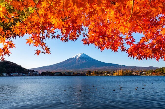 Mount Fuji Private Custom Tour with Local English Speaking Guide - Stops 3–4: Lake Kawaguchiko basics and Oishi Park for the “lake in front” view