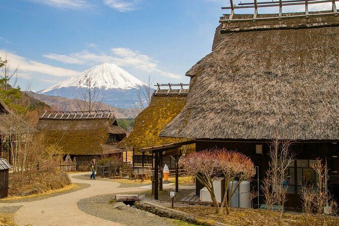 Mount Fuji Private Custom Tour with Local English Speaking Guide - Stop 5: Saiko Iyashi no Sato Nemba, a recreated traditional village