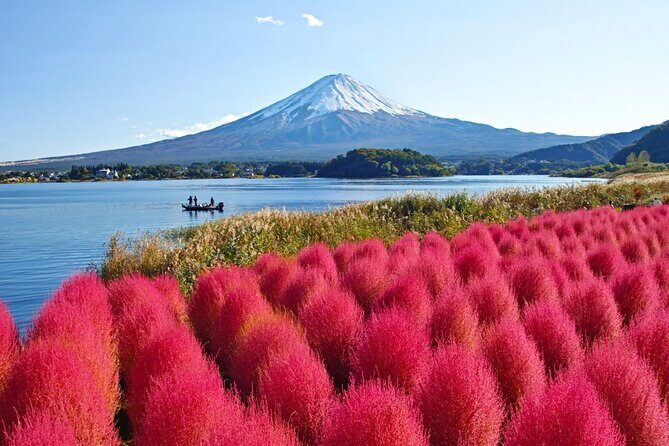 Mount Fuji Private Custom Tour with Local English Speaking Guide - Optional Stop 6: Oshino Hakkai ponds (clear water fed by Fuji snowmelt)