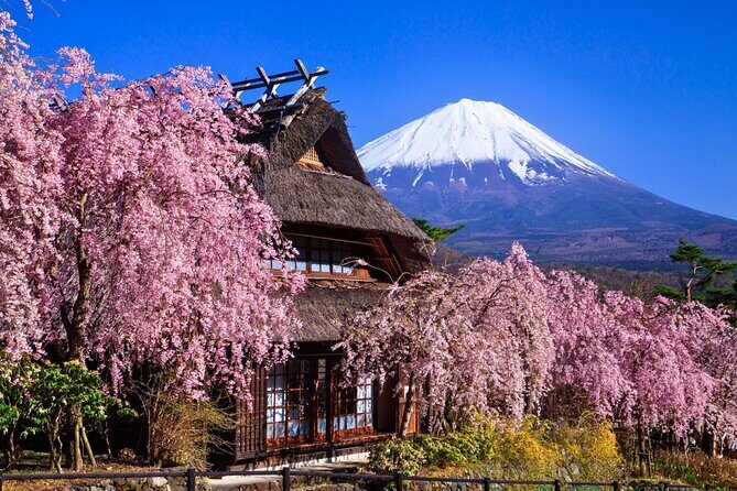 Mount Fuji Private Custom Tour with Local English Speaking Guide - Stop 1: Mt. Fuji Subaru Line 5th Station (the highest car-access viewpoint)