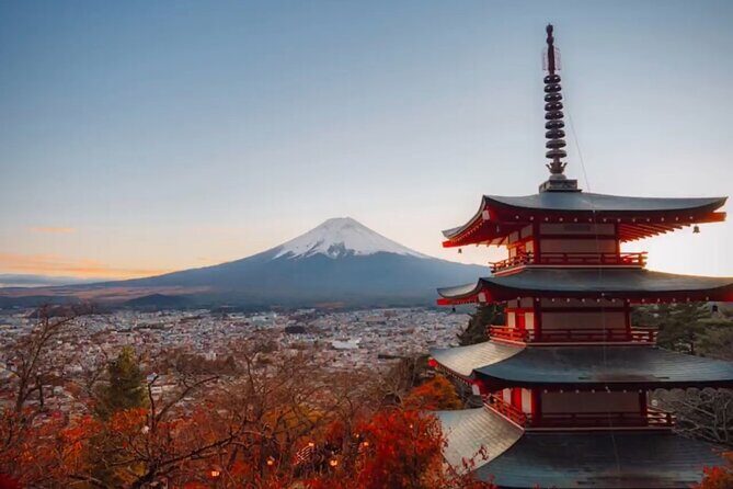 Mount fuji Private Tour - Key highlights worth knowing before you go