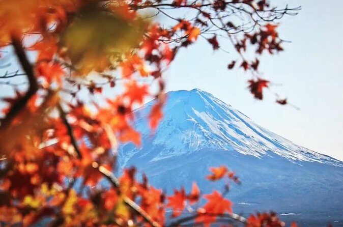 Mount fuji Private Tour - Stop 1: Lake Kawaguchiko for Fuji views and timed breathing room