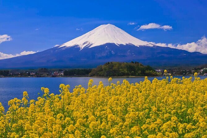 Mount fuji Private Tour - Cost breakdown: is $447.31 per group good value?