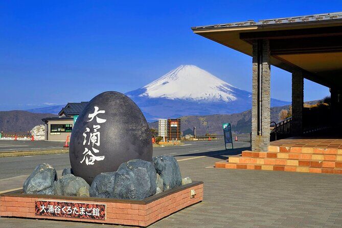Mt Fuji and Hakone 1-Day Bus Tour Return by Bus - Where You End: Shinjuku Most Days, Odawara on Busy Dates