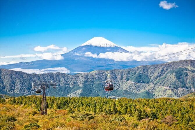 Mt Fuji and Hakone Private Day Tour - Key things to know before you go