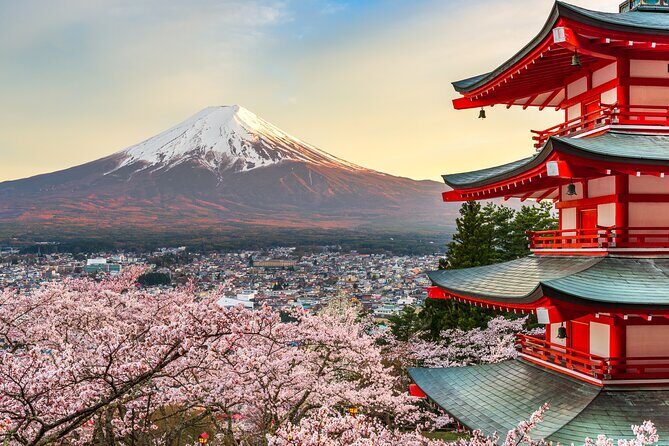 Mt Fuji Customizable Private Tour English Speaking Driver Pick-up - Tokyo-to-Mt Fuji in a private car: what changes