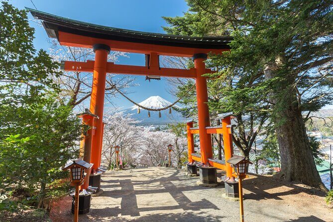 Mt Fuji Customizable Private Tour English Speaking Driver Pick-up - Kitaguchi Hongu Fuji Sengen Jinja: a shrine stop with old roots