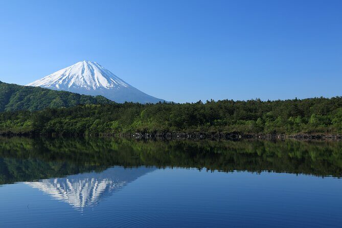 Mt Fuji Customizable Private Tour English Speaking Driver Pick-up - The day’s rhythm: 8:00 am start and about 9–10 hours