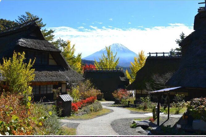 Mt Fuji Exclusive Tour with Private Car English Guide - Mt. Fuji 5th Station: worth it, but only when weather cooperates