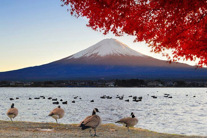 Mt Fuji Exclusive Tour with Private Car English Guide - The 9–10 hour rhythm from Tokyo (and why timing can shift)