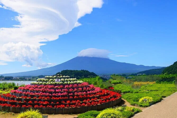 Mt Fuji Exploration Tour with Free Japanese Kusa Mochi from Tokyo - Key Highlights You’ll Actually Care About