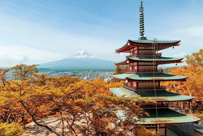 Mt Fuji Exploration Tour with Free Japanese Kusa Mochi from Tokyo - Why This Mt. Fuji Tour Works When You Only Have a Day